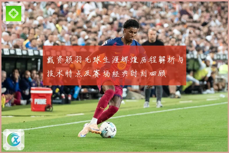 戴资颖羽毛球生涯辉煌历程解析与技术特点及赛场经典时刻回顾